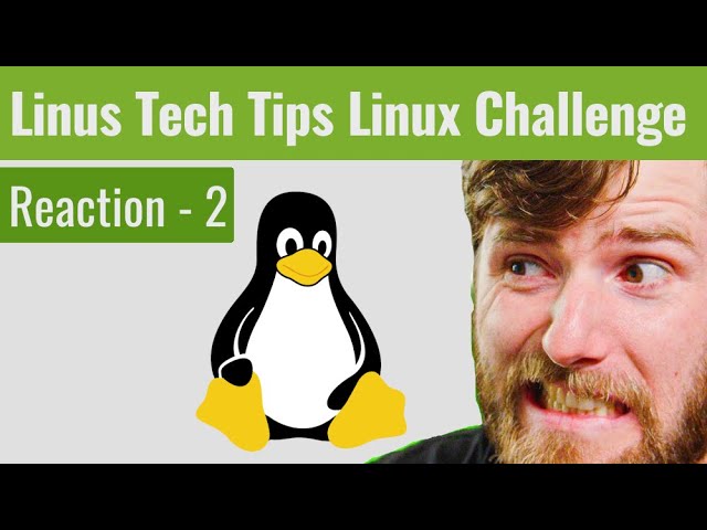Jean reagiert auf die Linus Tech Tips Linux - Challenge - Part 2