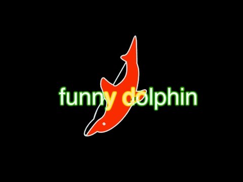 funny dolphin