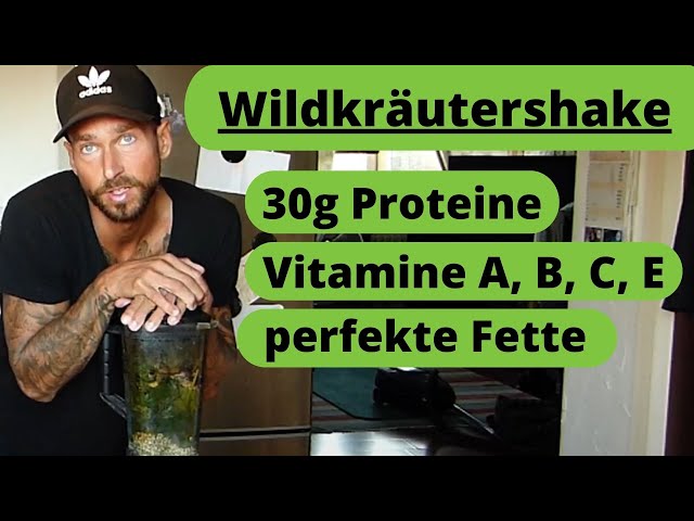 Wildkräutershake- Proteine, Vitamine, Mikronährstoffe, sekundäre Pflanzenstoffe
