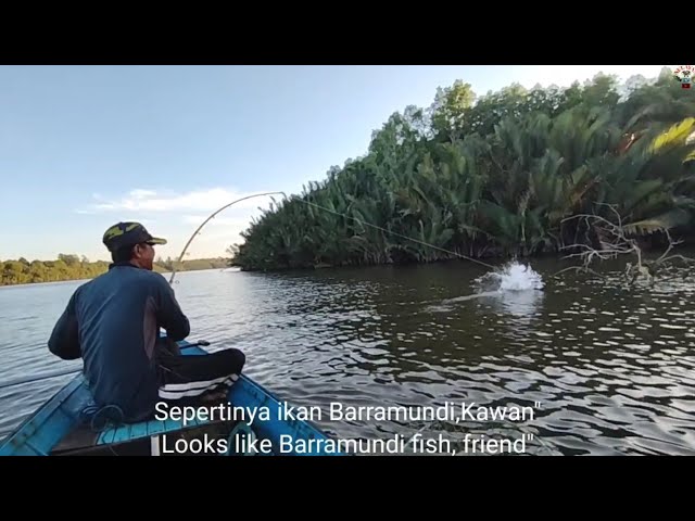 Testing using a Tegek fishing rod, the first strike was immediately struck by the Barramundi fish