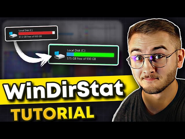 Visualize and Free Up Disk Space with WinDirStat (Highly Recommend!)