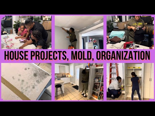 HOUSE PROJECTS, MOLD AND PANTRY DIY ORGANIZATION / LAUNDRY & 100 DAYS OF SCHOOL PROJECT / SMTV