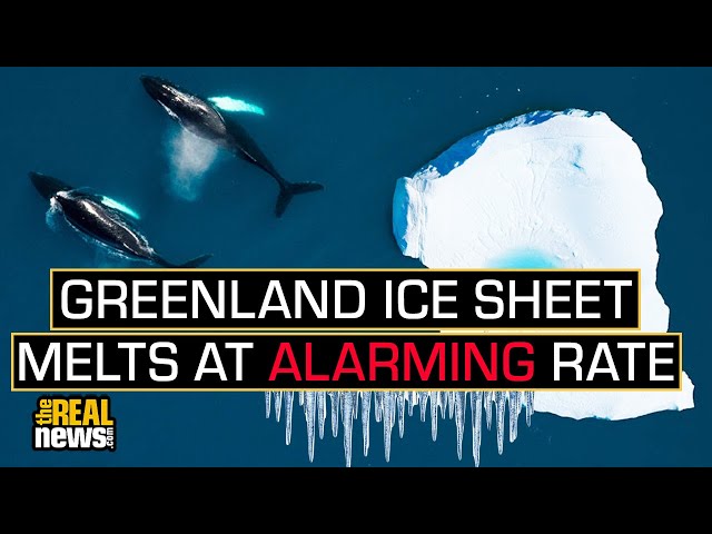 Melting Greenland Could Displace 400M People; UN Climate Deal Does Little to Help