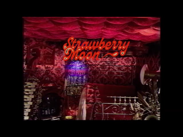 Sleepy Gaucho - Strawberry Moon (Music Video)