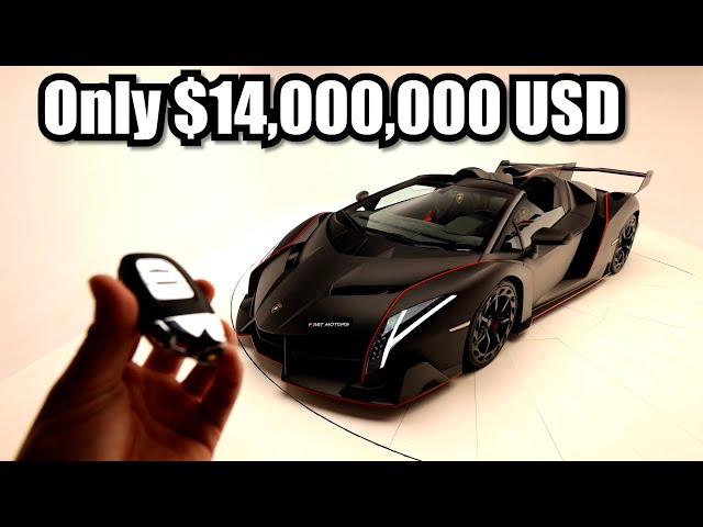 Meet the $14,000,000 Lamborghini Veneno Roadster.