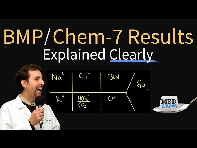Basic Metabolic Panel (BMP) / Chem 7 Results Explained