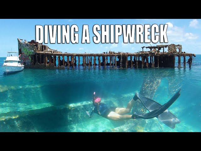 Explore & Dive a Famous Shipwreck in The Bahamas - SS Sapona