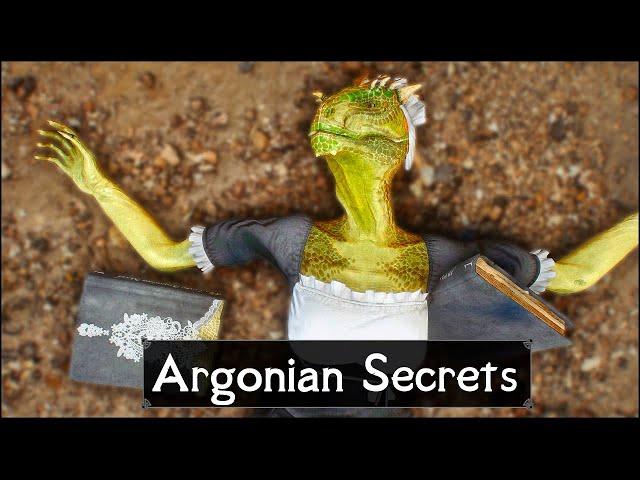 Skyrim: 5 Things They Never Told You About Argonians