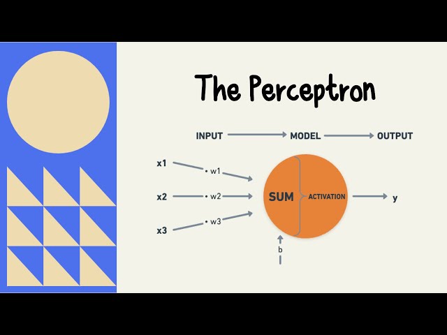 The Perceptron Explained