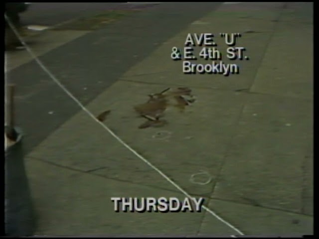1978 mob hits across the New York City area