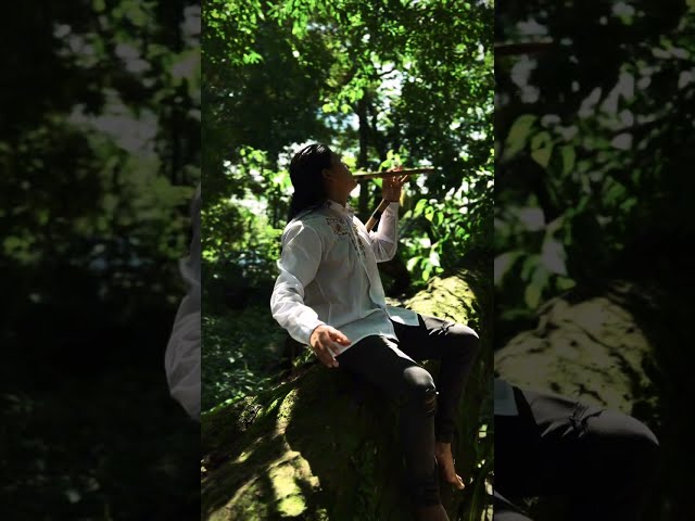Jungle - Native Relax Song |  Raimy Salazar  (Vertical Video)