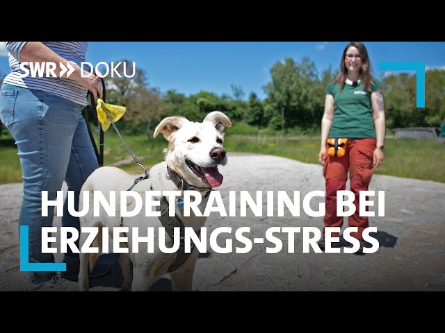 Mein neuer Hund - Trainerin Franzi hilft bei der Erziehung | SWR Doku