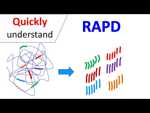 RAPD | Random Amplification of Polymorphic DNA