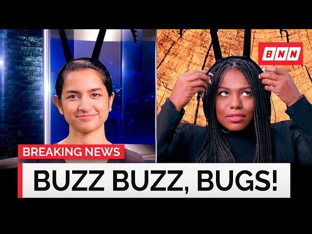 Welcome to Bug News | Breaking News