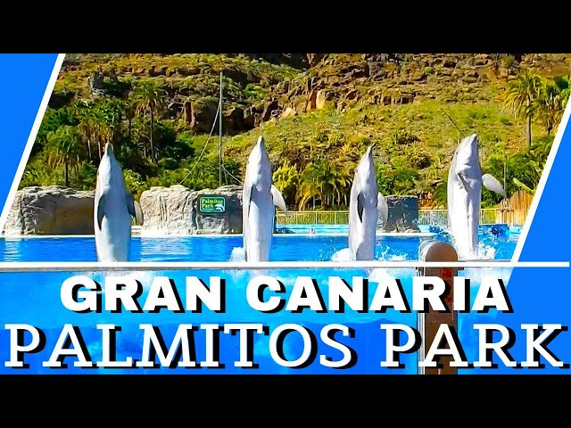Palmitos Park, Maspalomas, Gran Canaria - Dolphins, Parrots, Birds of Prey, Exotic Birds Show