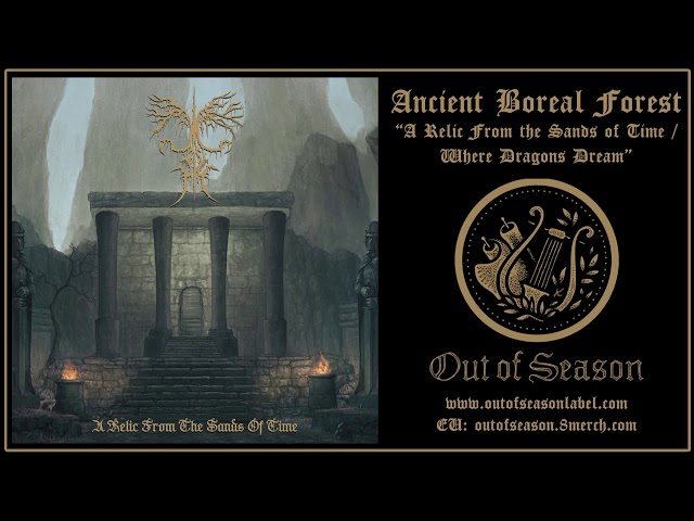 ANCIENT BOREAL FOREST "A Relic From the Sands of Time" (Full Album, dungeon synth, summoning, metal)