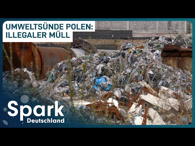 Kampf gegen den Müll | Illegale Mülldeponien in Polen | Spark Deutschland