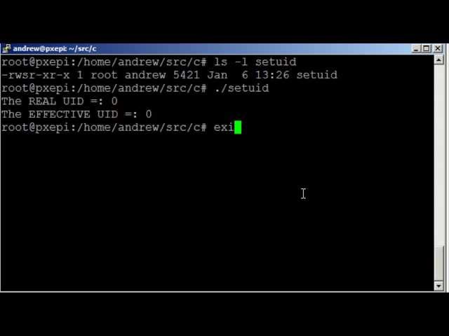 Linux Permissions and using C programming to understand the SUID bit on the Raspberry Pi