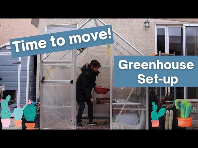 VLOG#8: Preparing my Greenhouse for Winter | Moving in my Plants