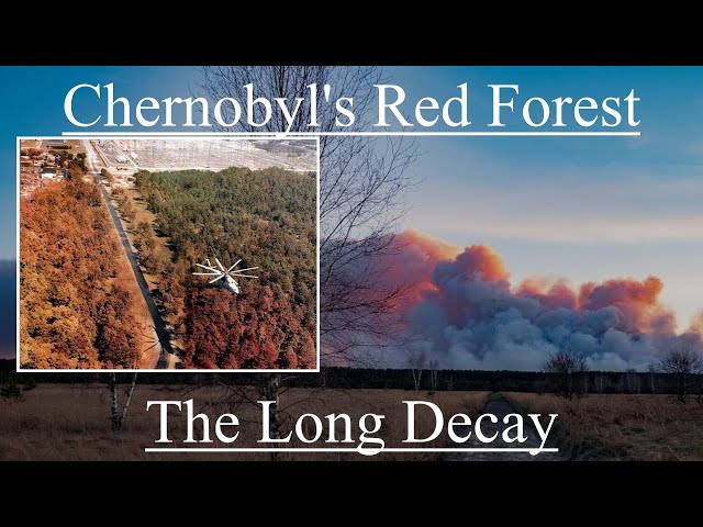 Chernobyl's Red Forest: The Long Decay