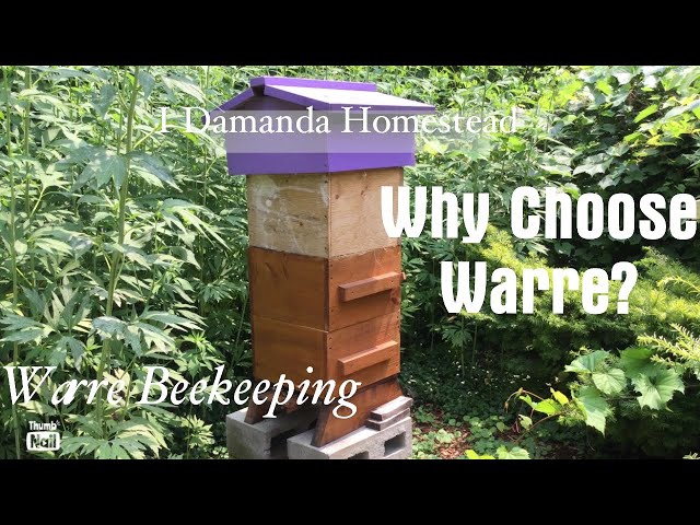 Why Warre? See Why a Warre Hive is the Right Choice for Your Honeybees!