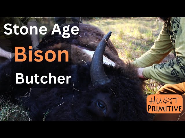 Skinning and Butchering a Bison with Stone age tools