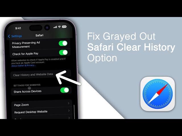 How to Fix Greyed Out Clear Search History on iPhone!