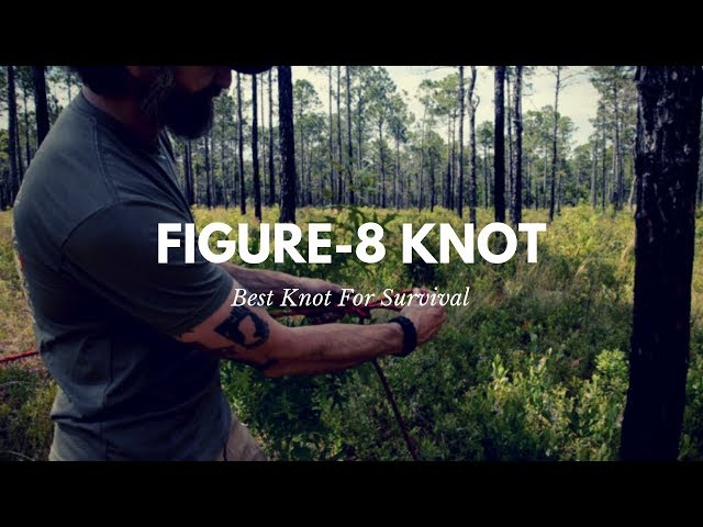 The Best Knot for Survival: The Figure-8