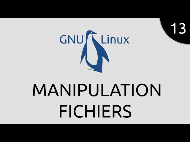 GNU/Linux #13 - manipulation fichiers