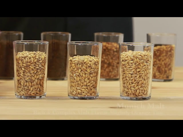 How to Formulate Beer Recipes for All-Grain Homebrewing