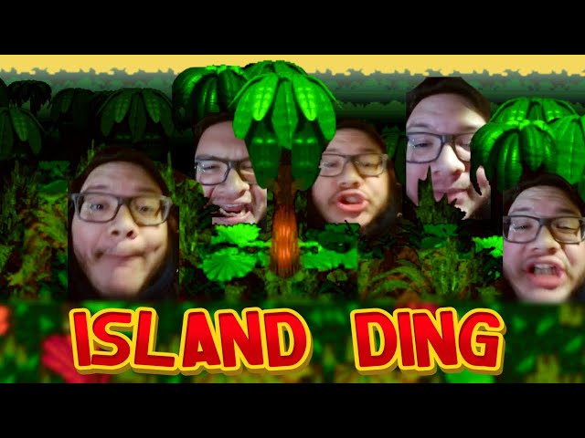 Island Ding (STOP POSTING ABOUT DONKEY KONG full song)