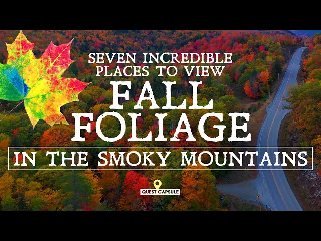 7 INCREDIBLE Places To View Fall Foliage in the Smoky Mountains - Fall Colors 2021 - Gatlinburg, TN