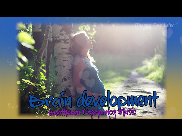 Pregnancy Music | Brain Development - Monthly Development.