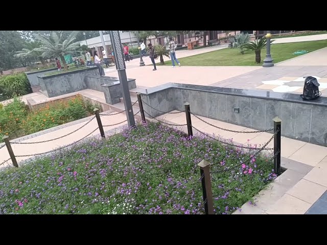 City park vlog