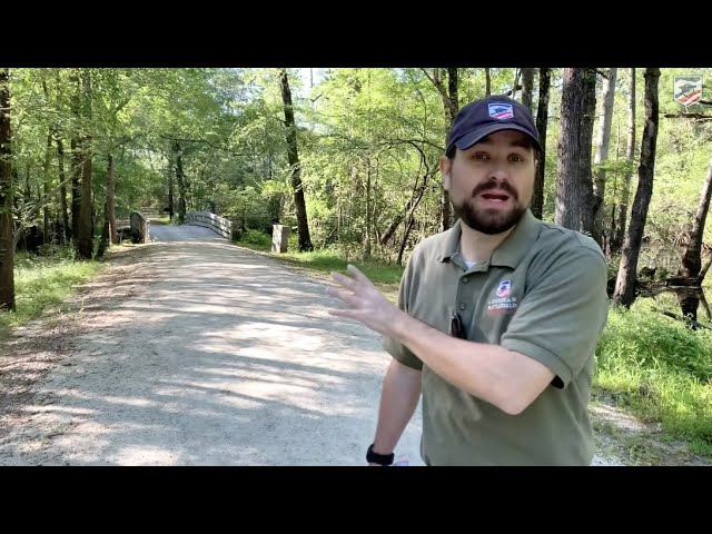 Battle of Moore's Creek Bridge, Early Revolutionary War Action in North Carolina
