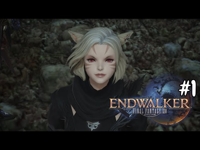 It's Time to Save the World.. Again [FFXIV EW] #1