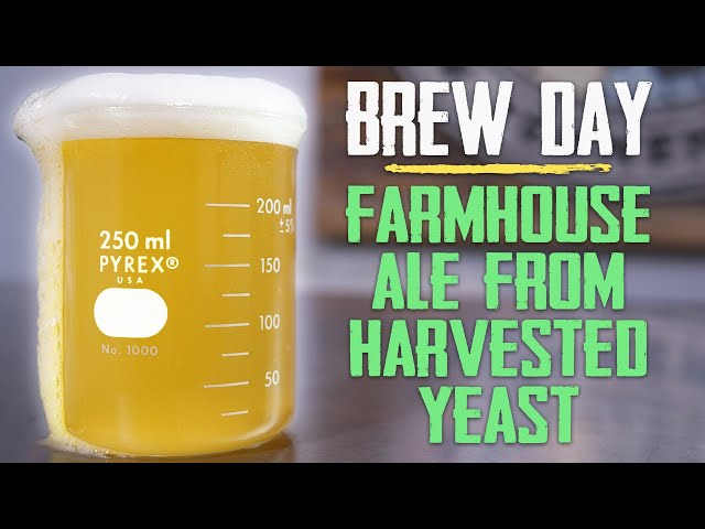 Brew Day - How To Make a Beer by Harvesting Yeast From an Old Batch - Wild Farmhouse Ale