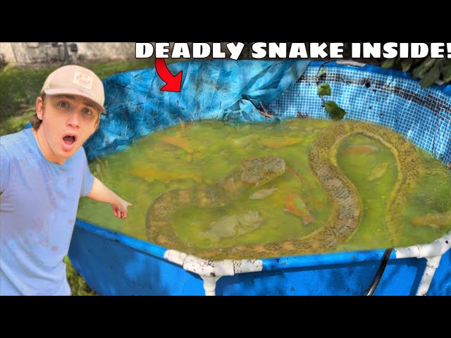 I Found an Abandoned Pond INFESTED with Deadly Snakes!