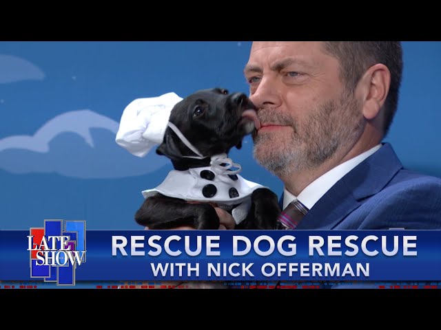 Rescue Dog Rescue with Nick Offerman, Halloween Costume Edition