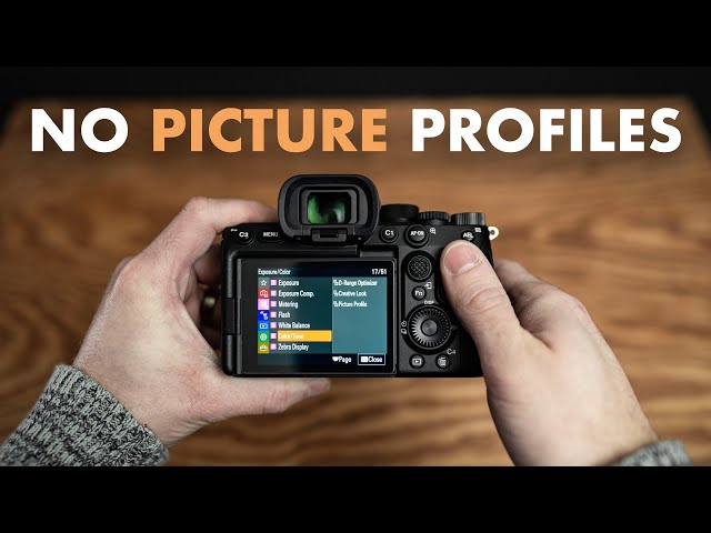 Stop wasting your time with Picture Profiles (Sony A7SIII + A7III)