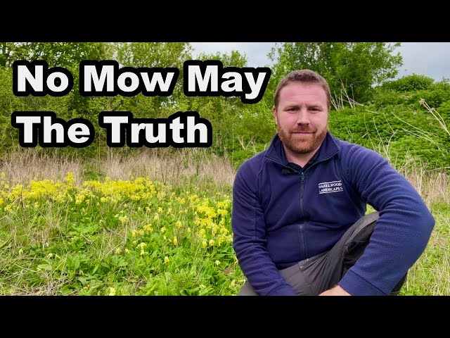 No Mow May - Is It REALLY Worth It?