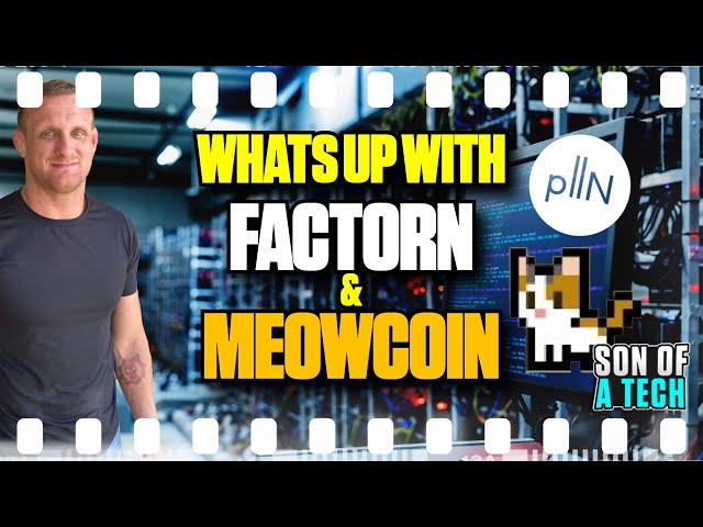 What's up with Fact0rn  & MeowCoin - 282