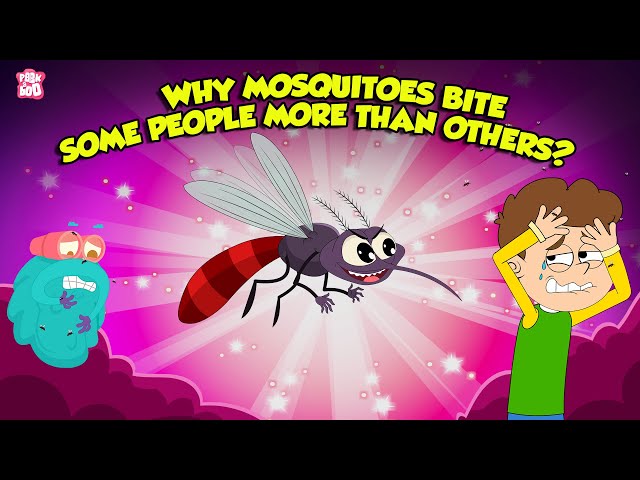 Why Mosquitoes Bite Some People More Than Others? | Mosquito Facts | The Dr. Binocs Show