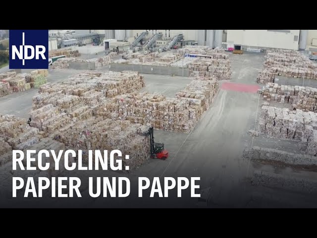 Nicht von Pappe - Wie Papier hergestellt und recycelt wird | Die Nordreportage | NDR Doku