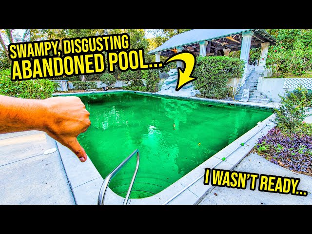 My Dream House's Giant Pool Turned Into A SWAMP...Can I Fix It Myself? | Project Dream House Part 2
