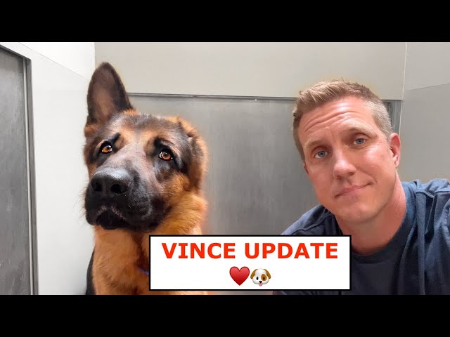 Vince Update! ♥️🐶
