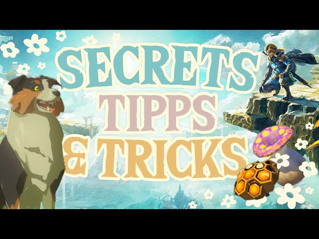 🍃┃Secrets, Tipps und Tricks in Zelda TOTK