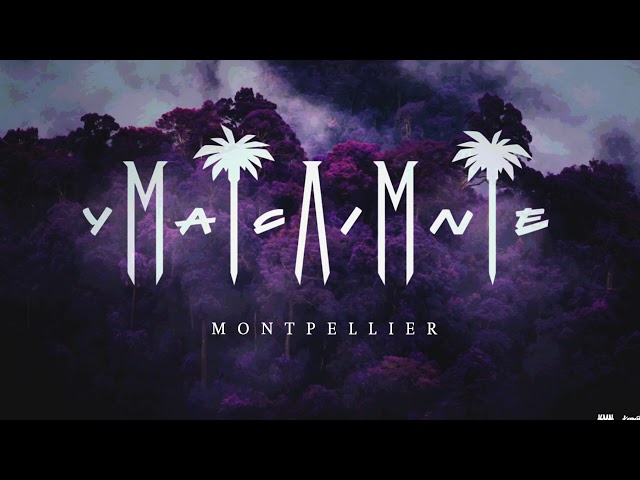 Miami Yacine - Montpellier