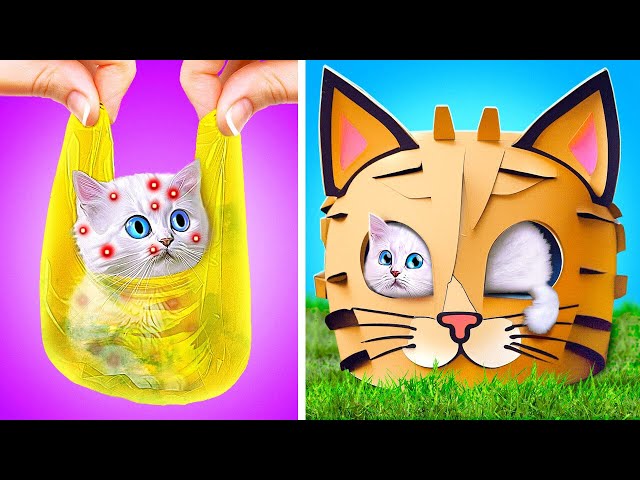 I Rescue This Cute Little Kitten *DIY How To Build Secret House For Pet*