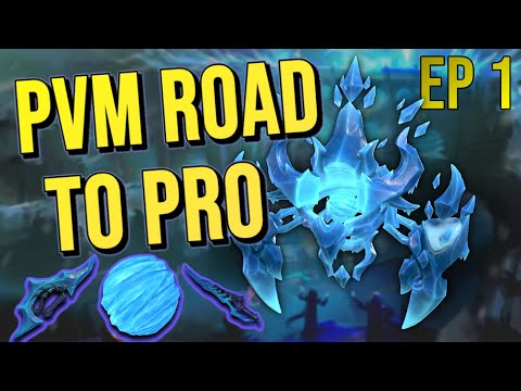 PvM Road to Pro